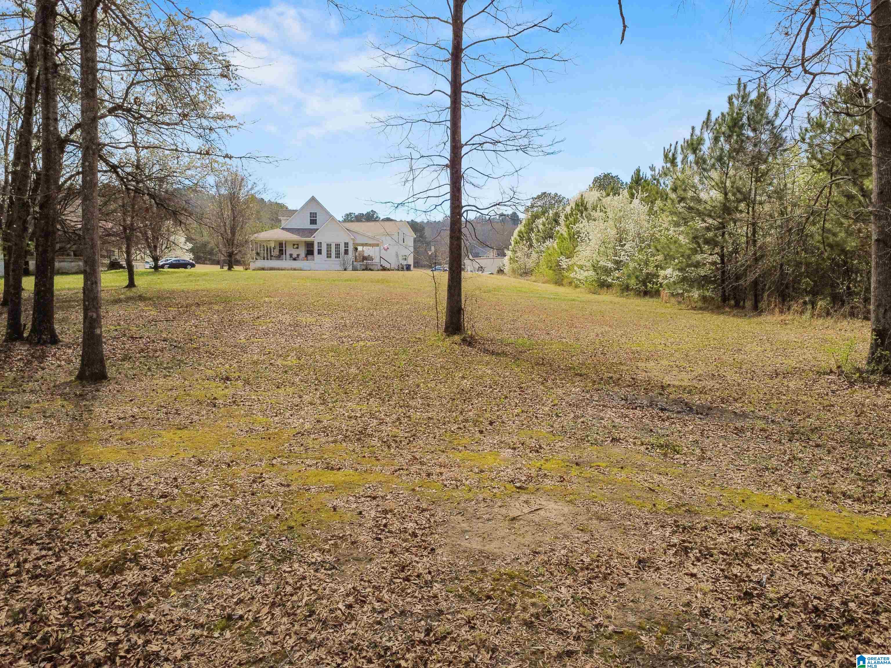 198 Heasletts Road Childersburg, AL 35044 - Photo 42 of 43