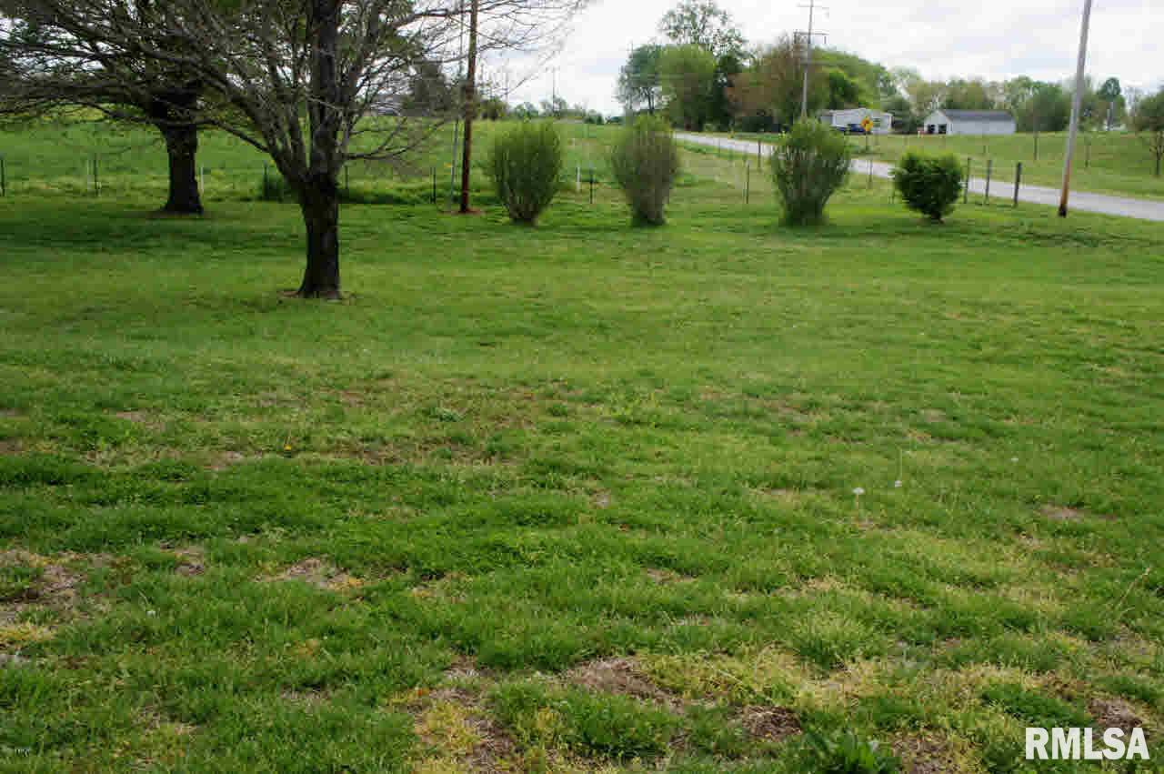1051 Old Joppa Road Metropolis, IL 62960 - Photo 15 of 44