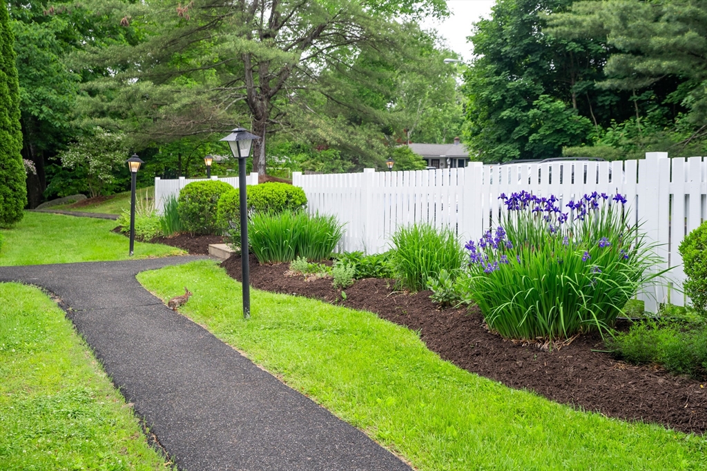 48 Evergreen Road, Unit 212 Leeds, MA 01053 - Photo 4 of 34 a view of a park with plants and large trees