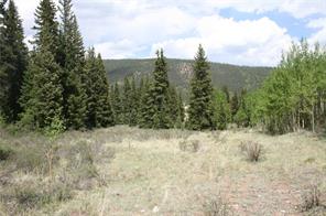 544 Edgewood Road Alma, CO 80420 - Photo 2 of 17 Gallery Image 2