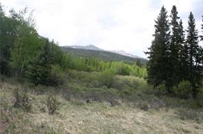 544 Edgewood Road Alma, CO 80420 - Photo 11 of 17 Gallery Image 11