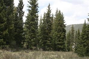544 Edgewood Road Alma, CO 80420 - Photo 12 of 17 Gallery Image 12