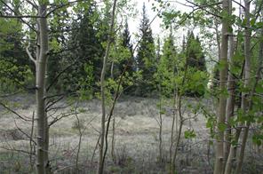 544 Edgewood Road Alma, CO 80420 - Photo 13 of 17 Gallery Image 13