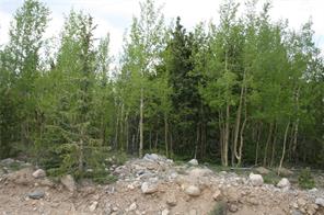 544 Edgewood Road Alma, CO 80420 - Photo 14 of 17 Gallery Image 14