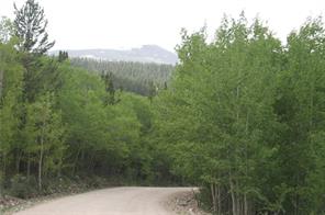 544 Edgewood Road Alma, CO 80420 - Photo 16 of 17 Gallery Image 16
