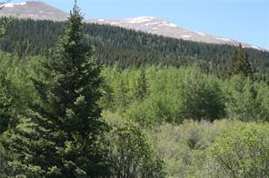 544 Edgewood Road Alma, CO 80420 - Photo 17 of 17 Gallery Image 17