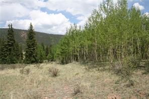 544 Edgewood Road Alma, CO 80420 - Photo 3 of 17 Gallery Image 3