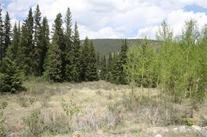 544 Edgewood Road Alma, CO 80420 - Photo 4 of 17 Gallery Image 4
