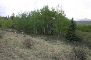 544 Edgewood Road Alma, CO 80420 - Photo 5 of 17 Gallery Image 5