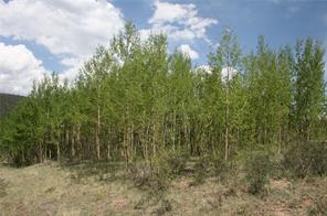 544 Edgewood Road Alma, CO 80420 - Photo 7 of 17 Gallery Image 7