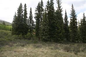544 Edgewood Road Alma, CO 80420 - Photo 8 of 17 Gallery Image 8