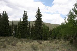 544 Edgewood Road Alma, CO 80420 - Photo 10 of 17 Gallery Image 10