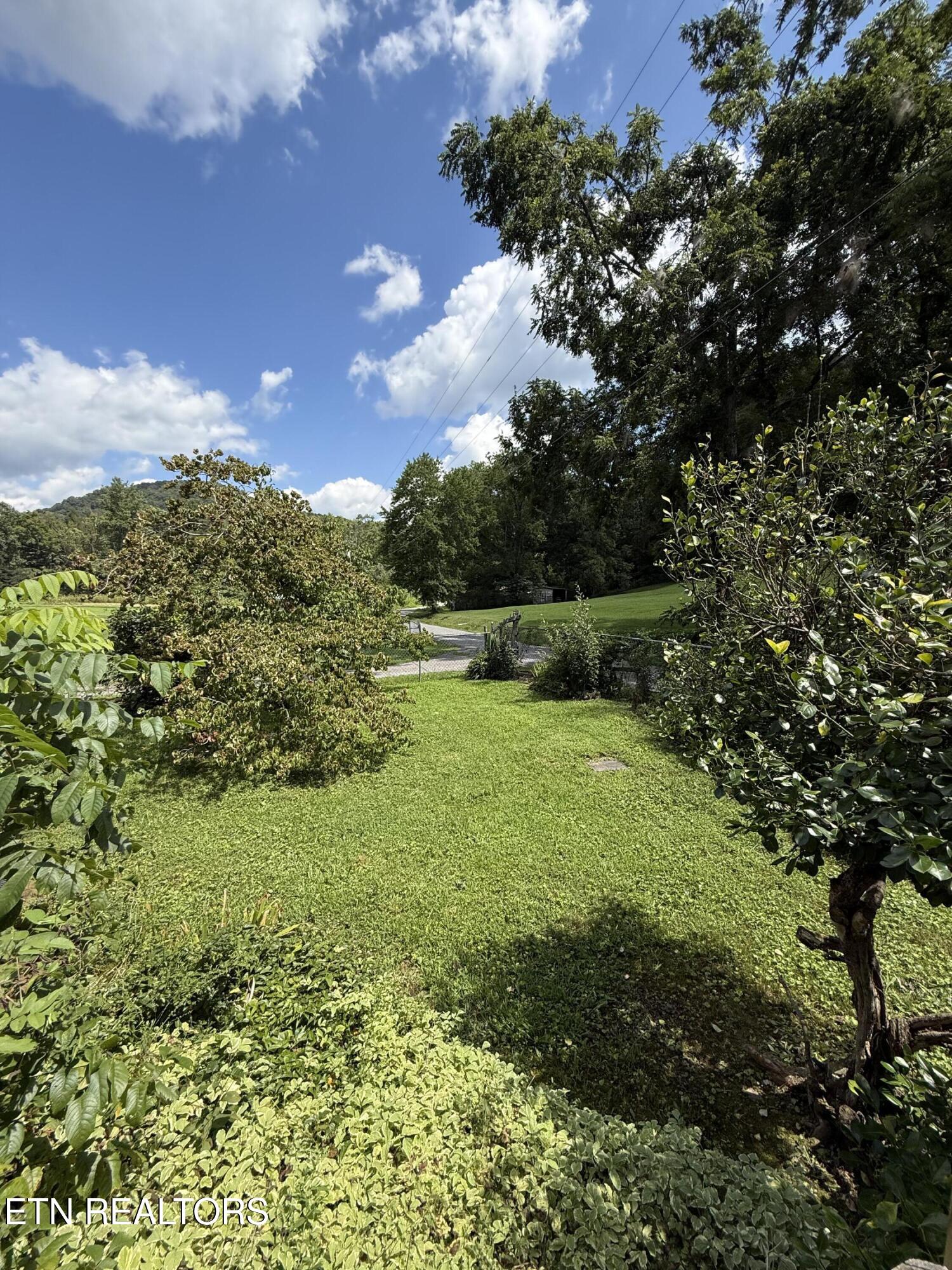 353 Cotula Road Duff, TN 37729 - Photo 5 of 17 Front Yard