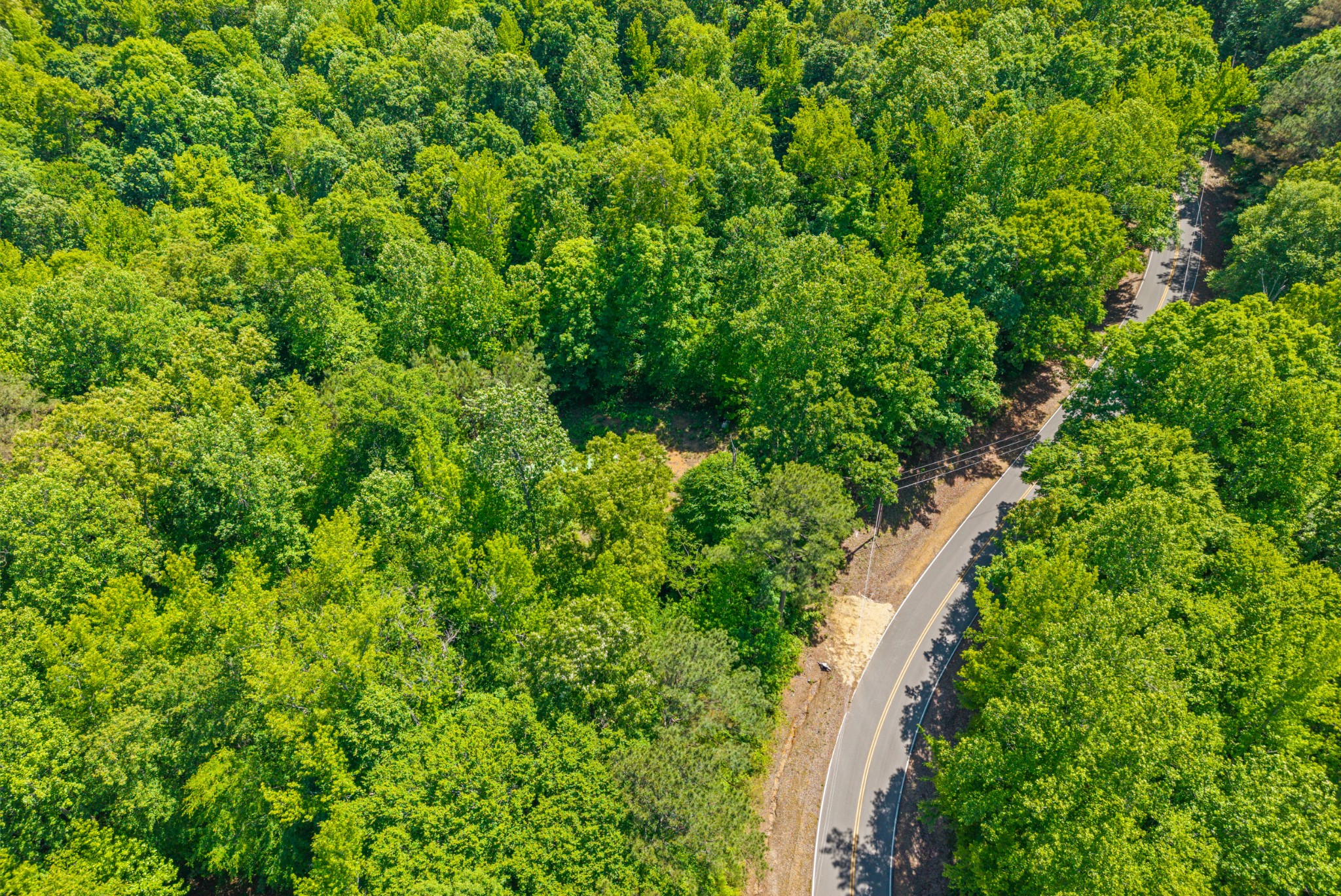 1530 Spring Hill Road Paris, TN 38242 - Photo 14 of 20 Gallery Image 14
