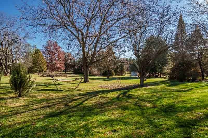 10077 Jesters Row Roscoe, IL 61073 - Photo 44 of 61 a view of a yard with trees