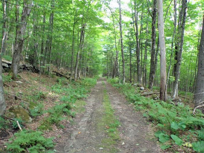 0 Warsley Road West Topsham, VT 05086 - Photo 14 of 14