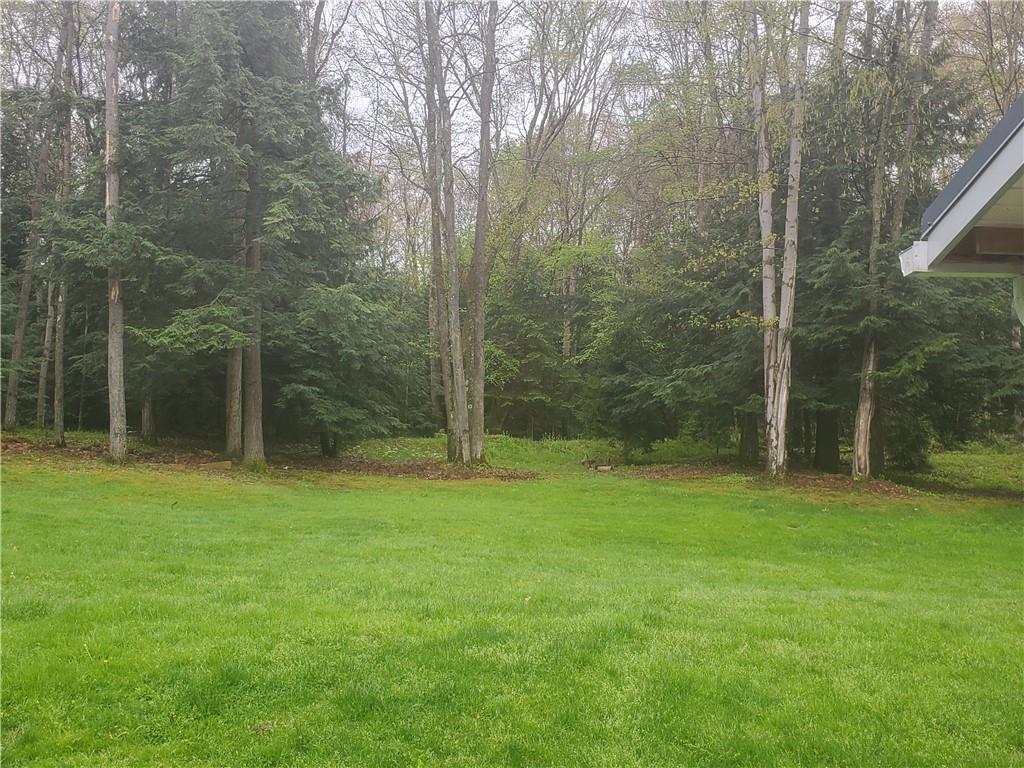 596 Old Lisbon Road Kennerdell, PA 16374 - Photo 5 of 25 Gallery Image 5