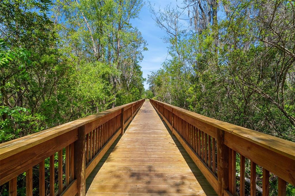 192 Modesto Drive St. Augustine, FL 32086 - Photo 44 of 66