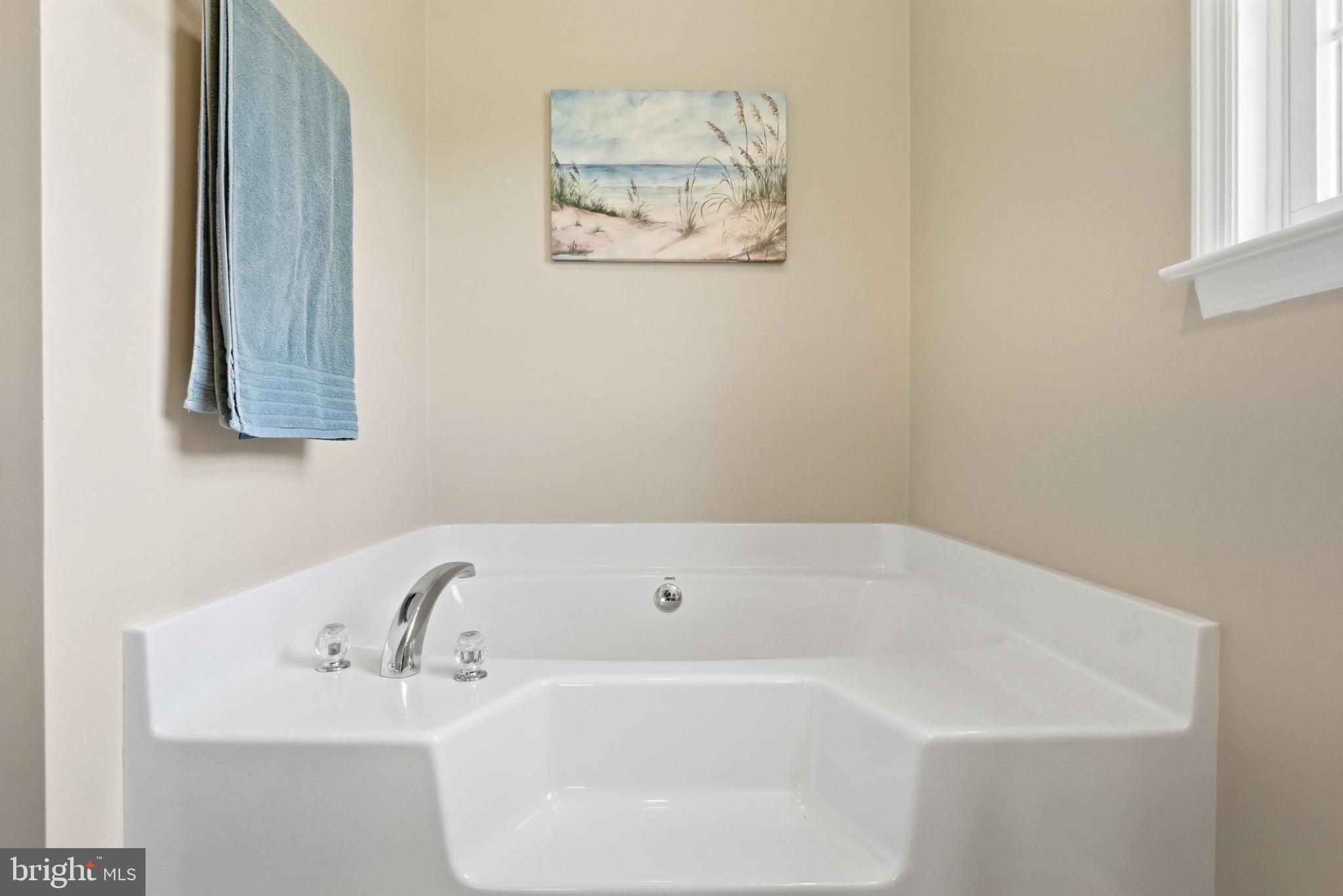 11337 Old Stillhouse Road Boston, VA 22713 - Photo 37 of 58 a white bath tub sitting next to a white sink