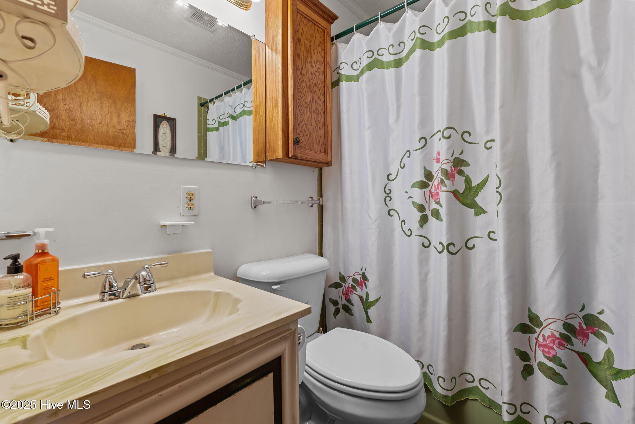 255 Sarason Place Vass, NC 28394 - Photo 18 of 52 18-web-or-mls-DSC01500