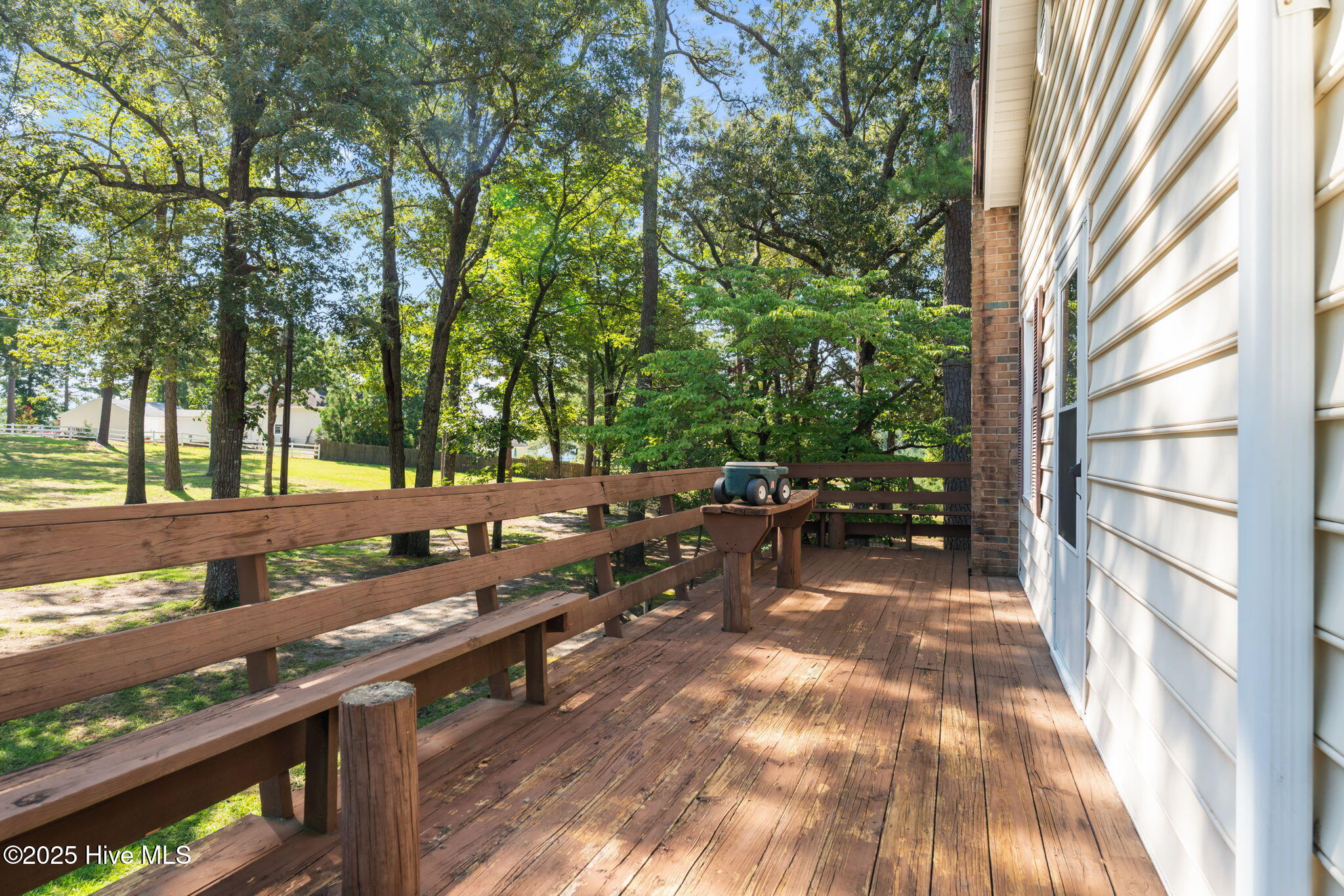 255 Sarason Place Vass, NC 28394 - Photo 41 of 52 41-web-or-mls-DSC01571