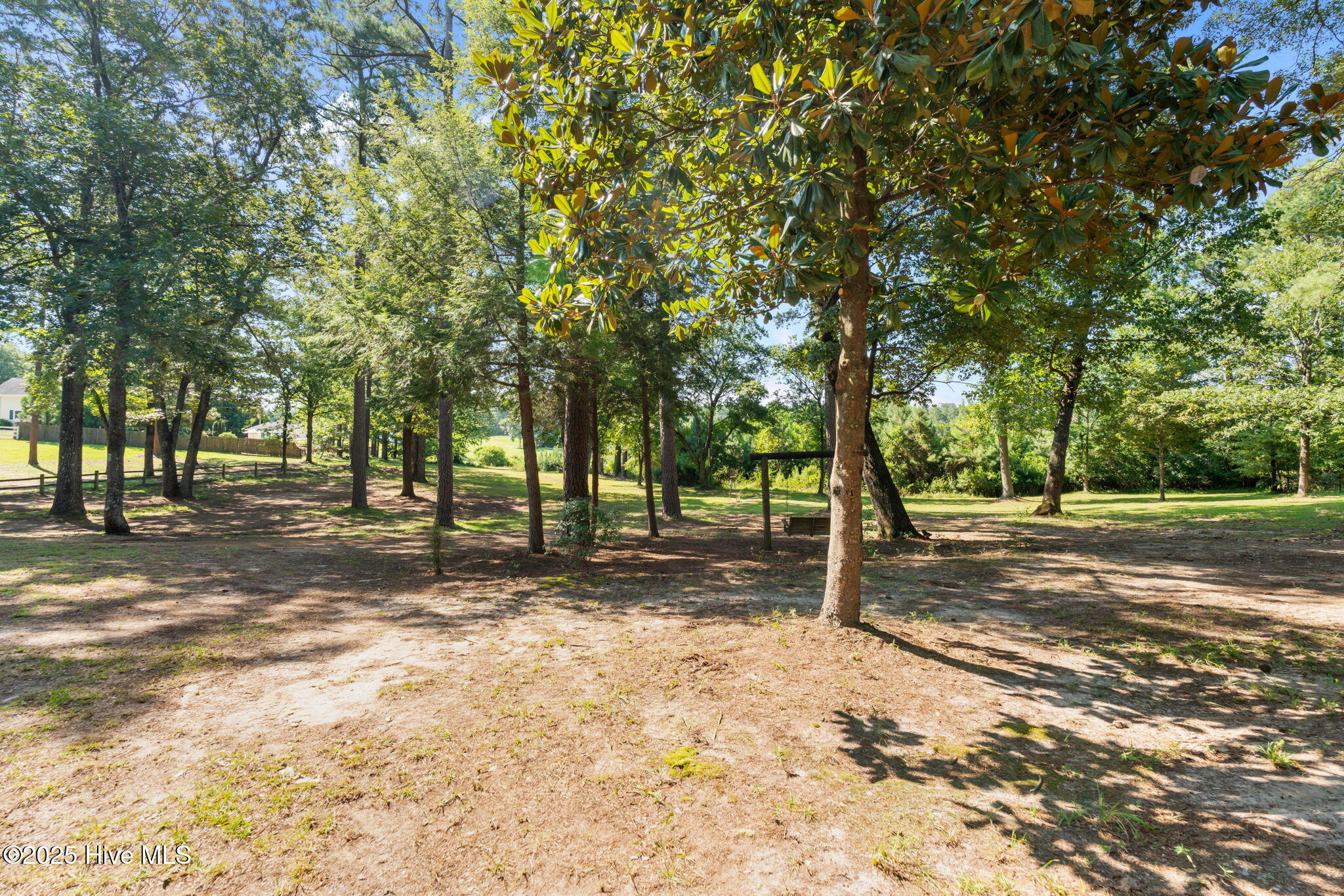 255 Sarason Place Vass, NC 28394 - Photo 46 of 52 46-web-or-mls-DSC01576