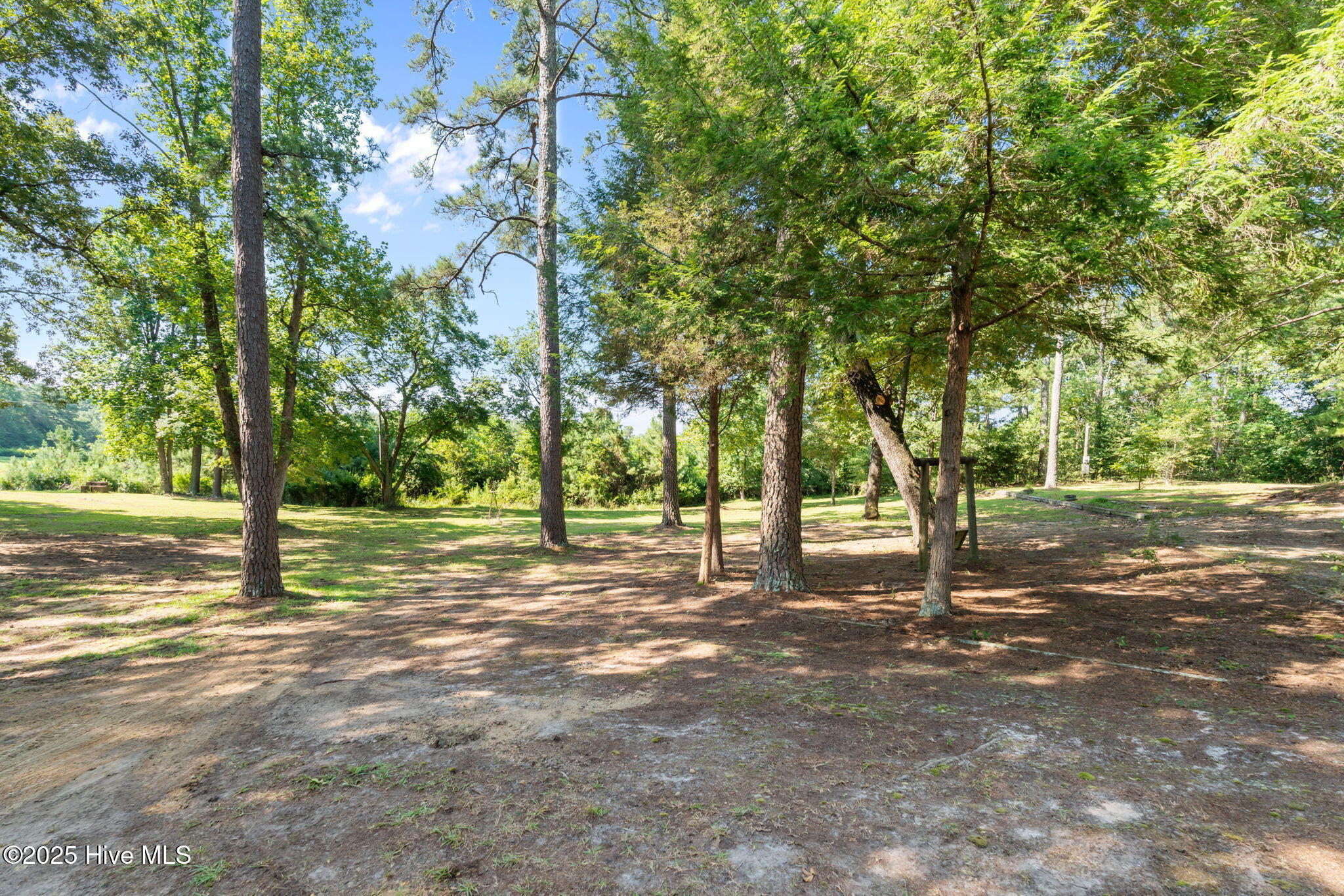255 Sarason Place Vass, NC 28394 - Photo 47 of 52 47-web-or-mls-DSC01577