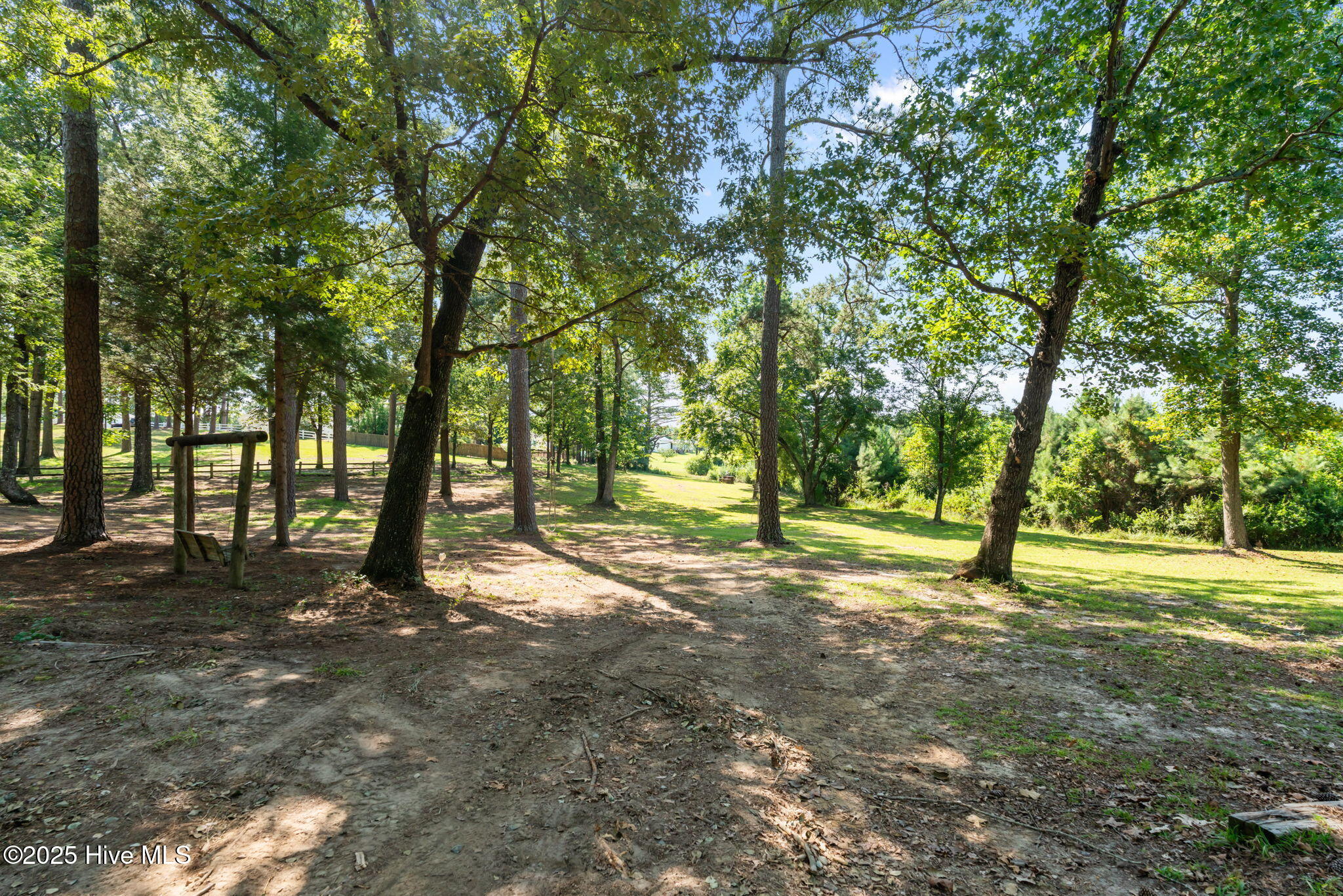 255 Sarason Place Vass, NC 28394 - Photo 51 of 52 51-web-or-mls-DSC01585