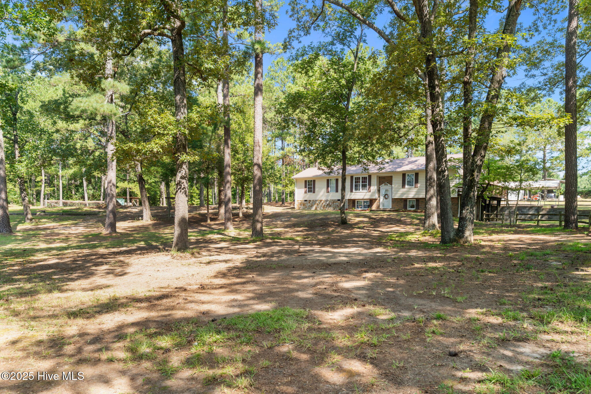 255 Sarason Place Vass, NC 28394 - Photo 52 of 52 52-web-or-mls-DSC01589