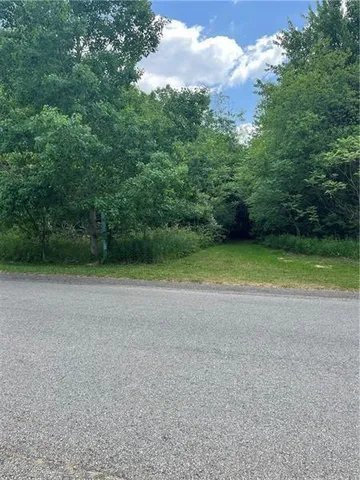 a view of a yard with a tree