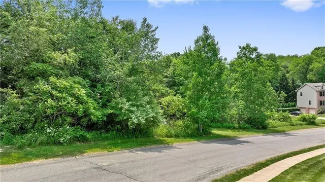 a view of a yard with plants and a bench under tree