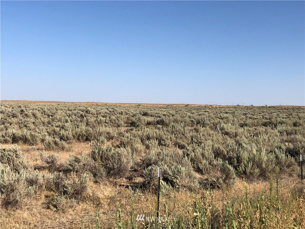 0 Hills Road Sprague, WA 99032 - Photo 6 of 7