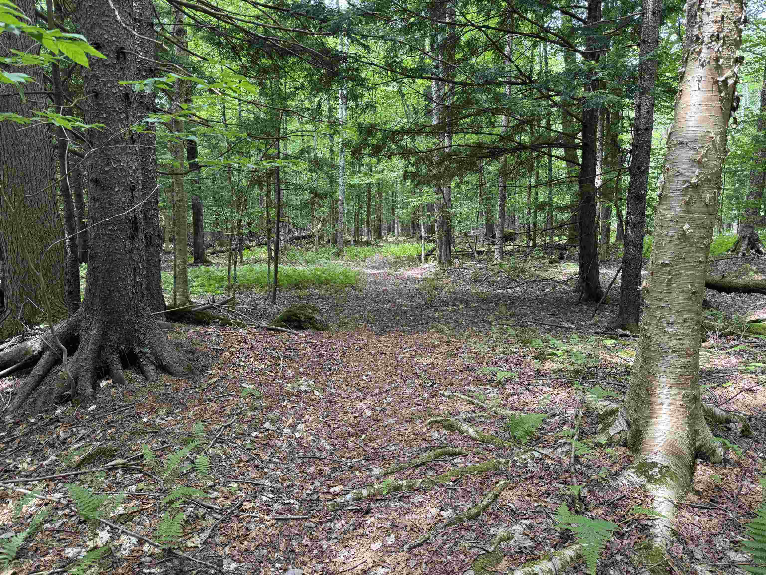 Tbd Richard Woolcutt Road Wolcott, VT 05680 - Photo 17 of 18