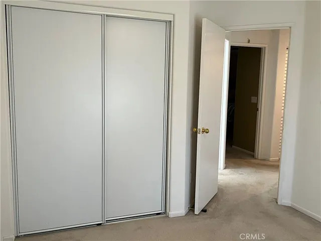 a view of a garden with plants