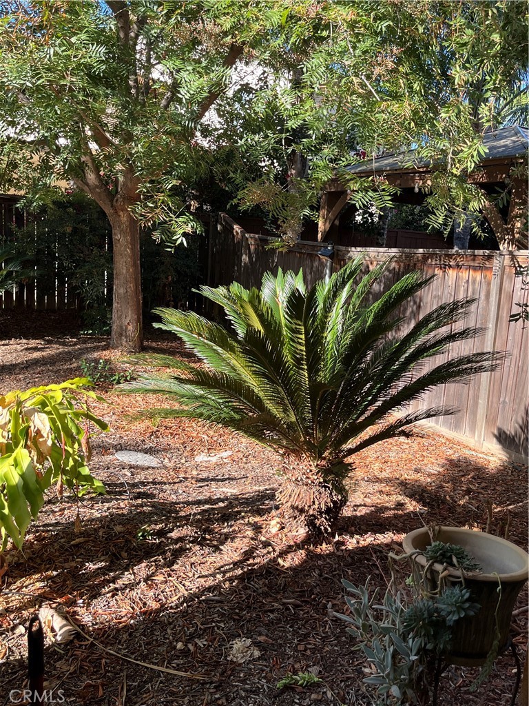 1483 Albillo Loop Perris, CA 92571 - Photo 29 of 46 a view of a backyard with plants