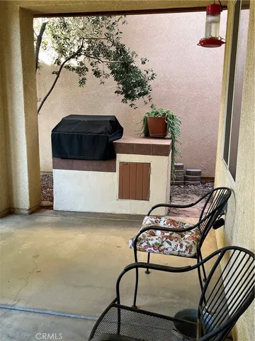 a view of a backyard with plants and a lawn chairs