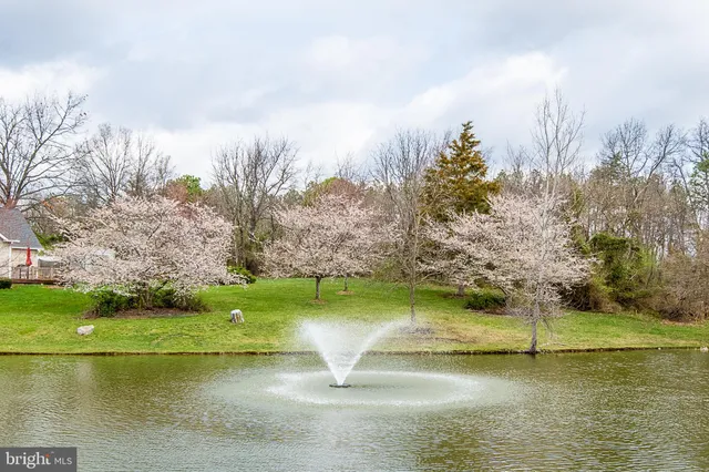 a view of a lake with a yard