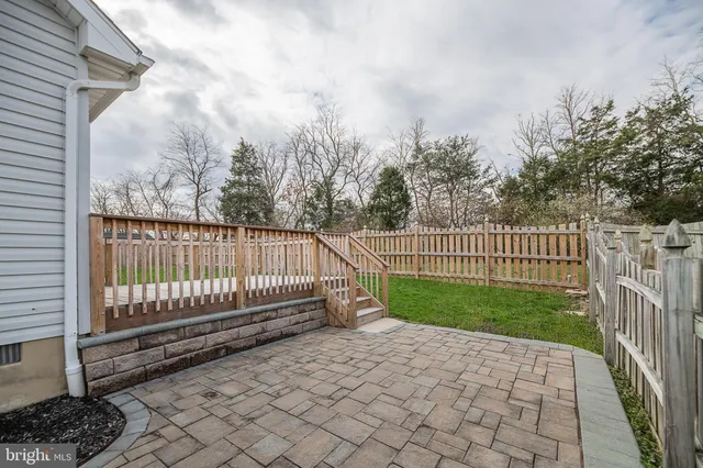 a view of a park with a large trees