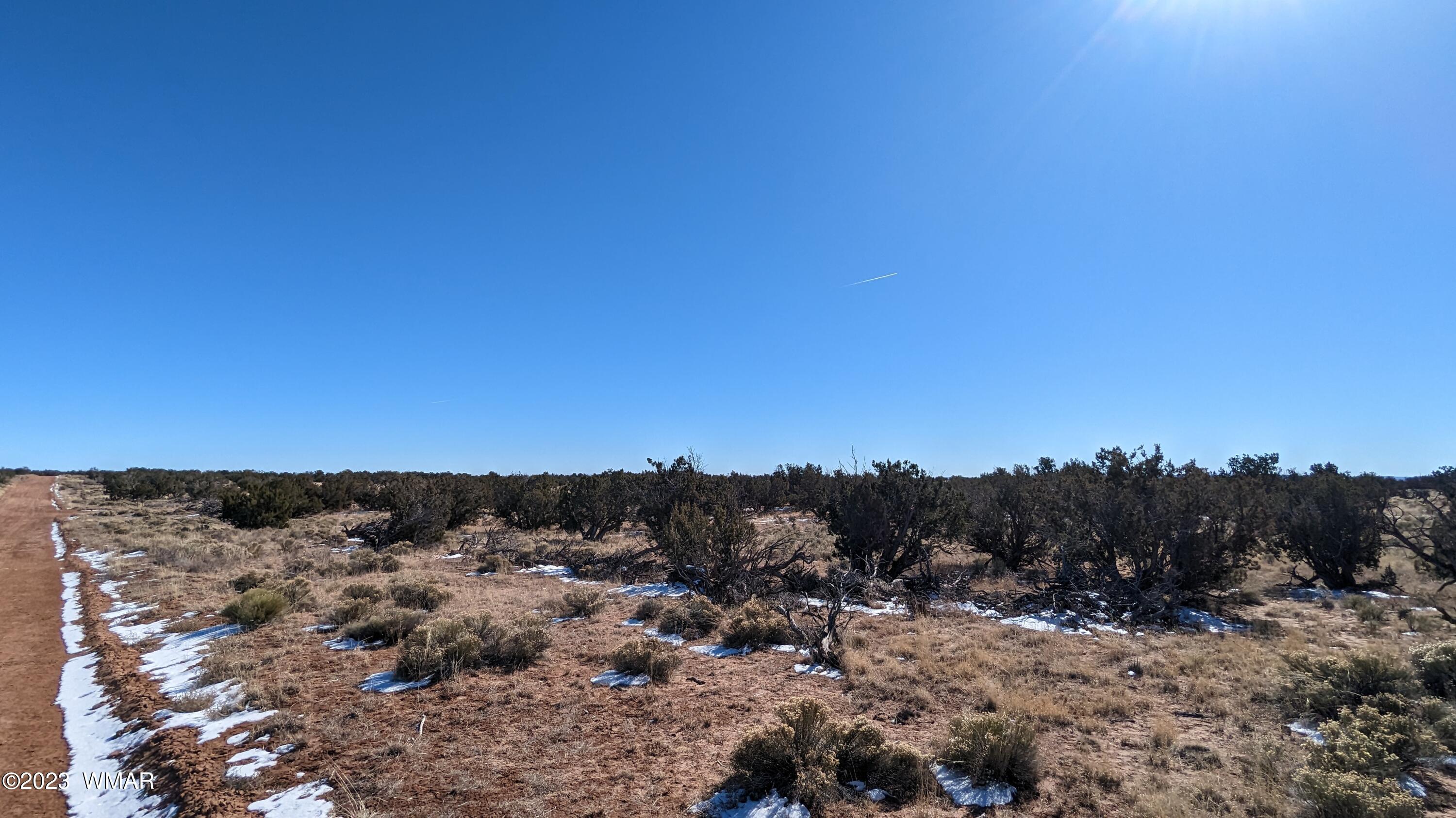 Lot 18 Carrizo Ranch St. Johns, AZ 85936 - Photo 1 of 12