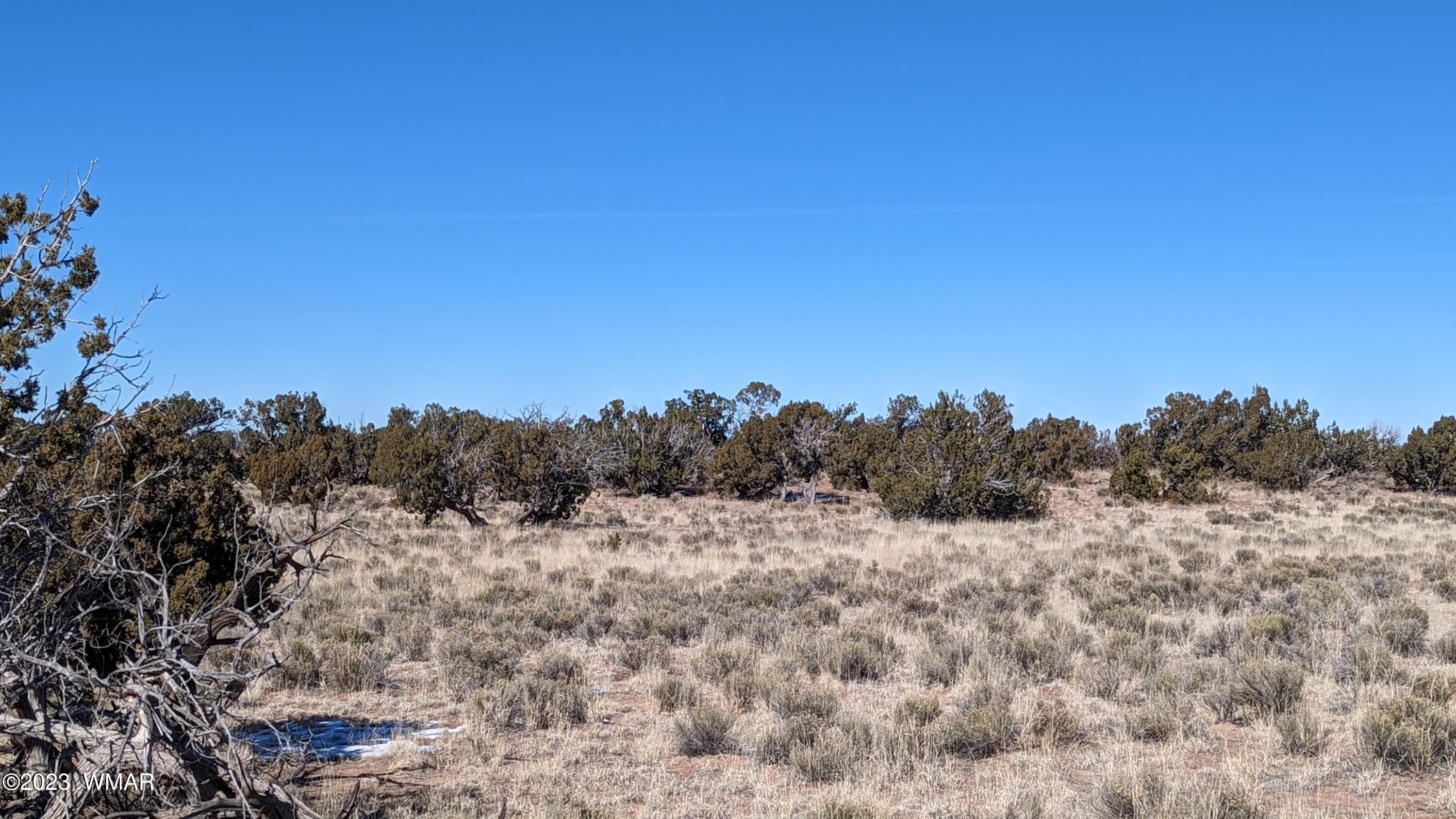 Lot 18 Carrizo Ranch St. Johns, AZ 85936 - Photo 11 of 12