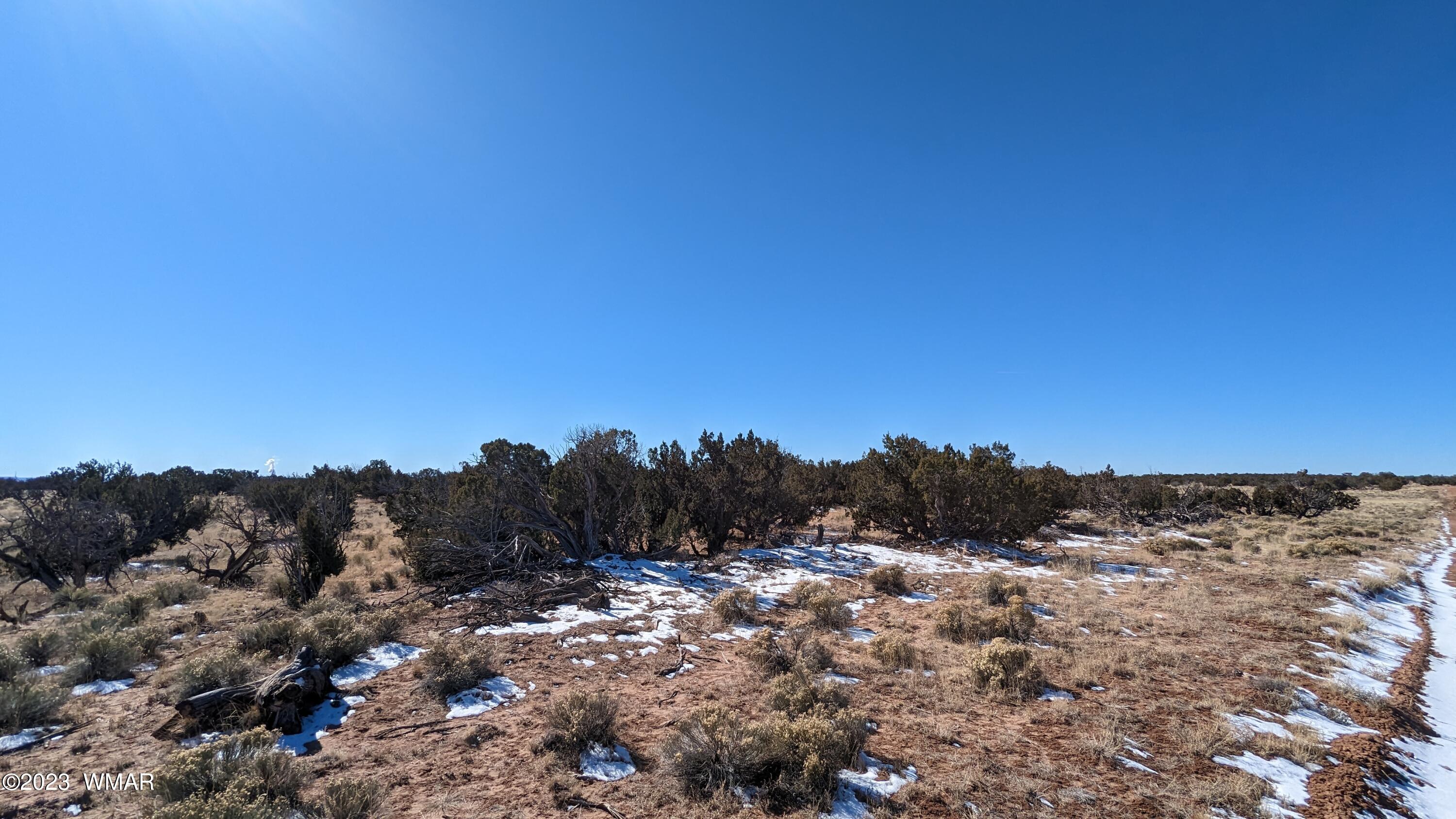 Lot 18 Carrizo Ranch St. Johns, AZ 85936 - Photo 4 of 12