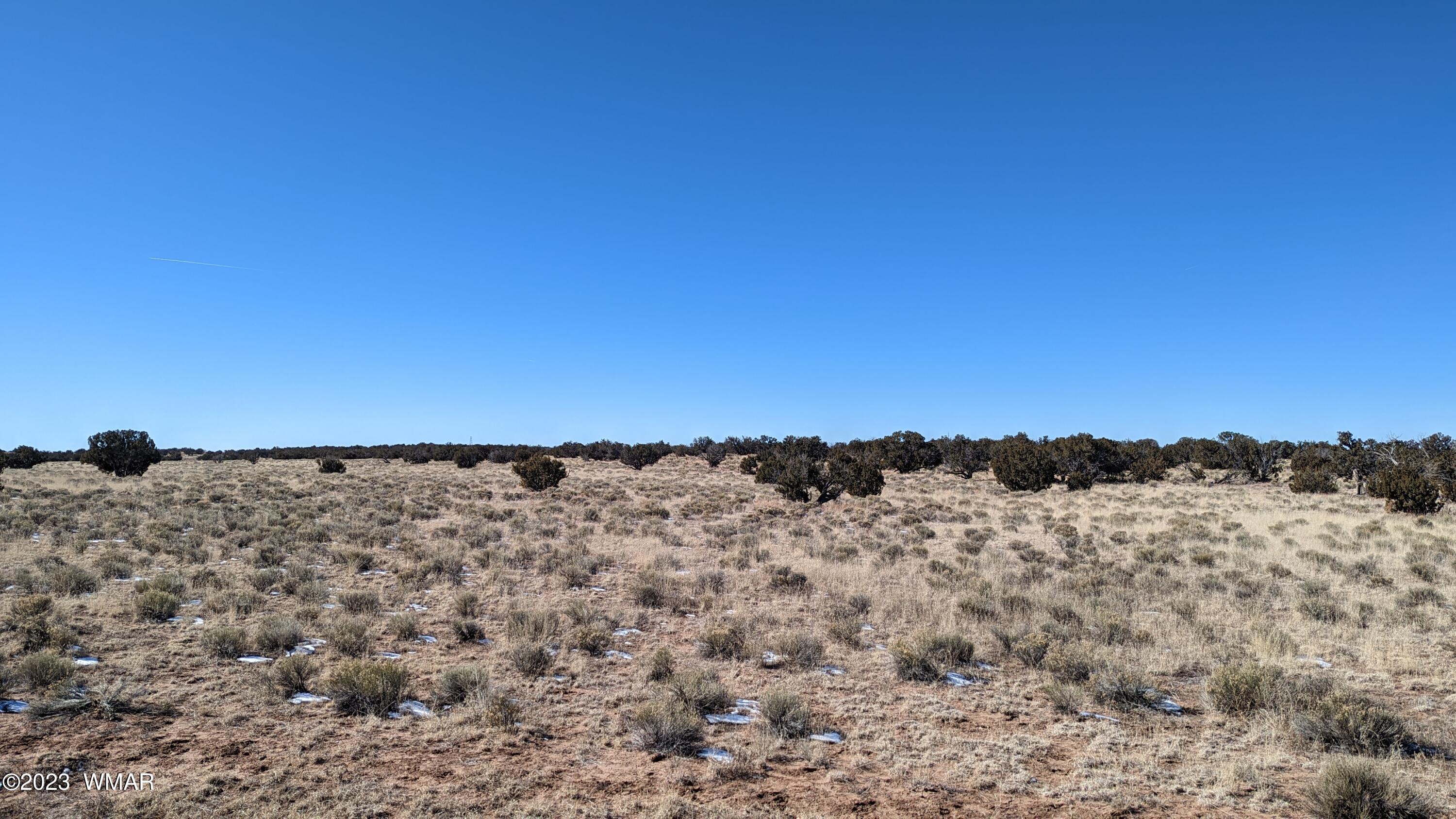Lot 18 Carrizo Ranch St. Johns, AZ 85936 - Photo 5 of 12