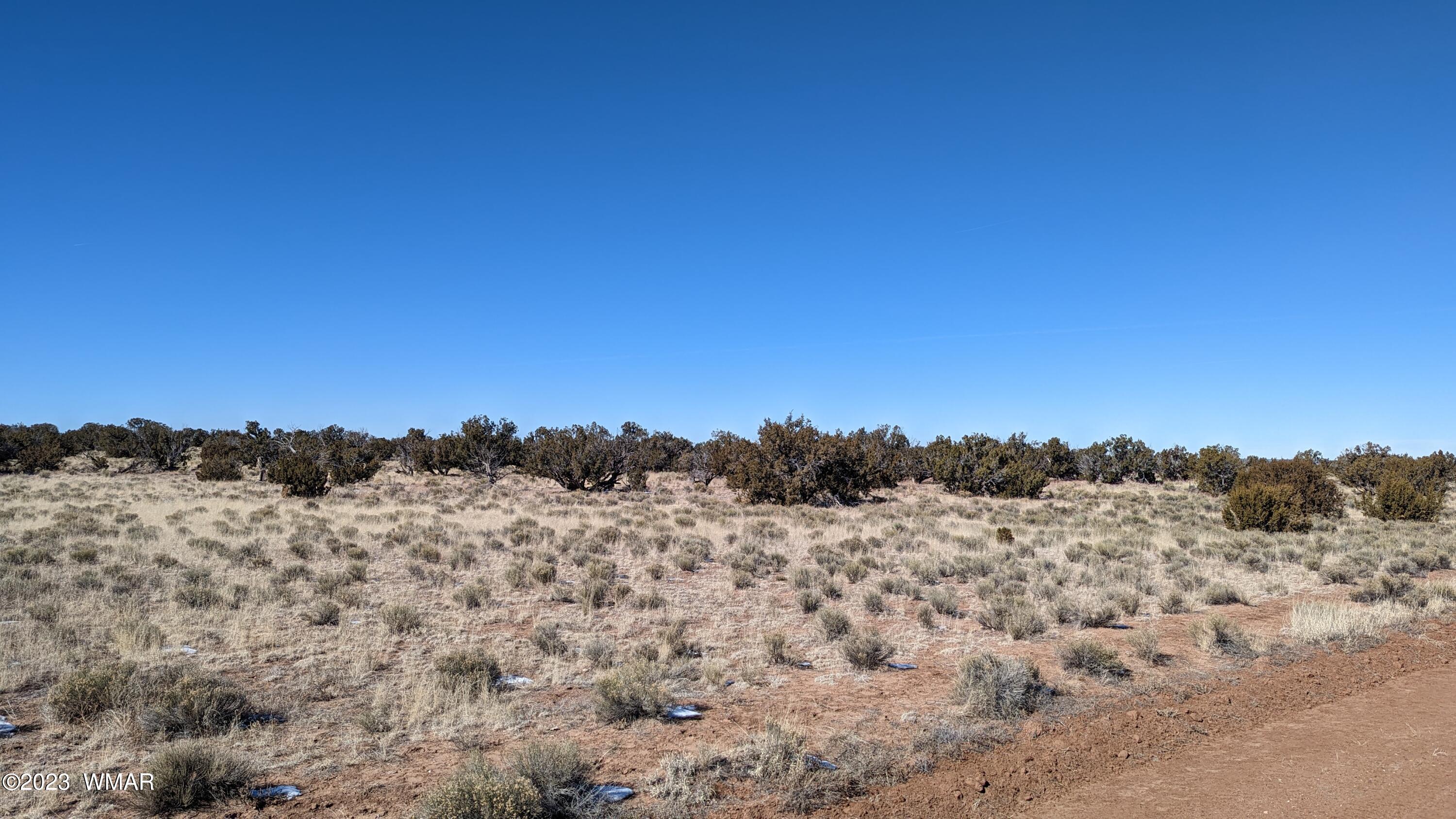 Lot 18 Carrizo Ranch St. Johns, AZ 85936 - Photo 7 of 12