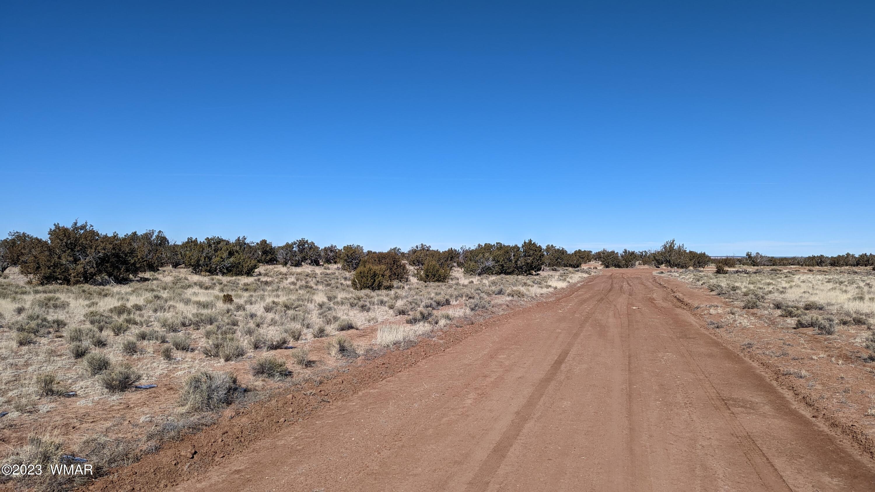 Lot 18 Carrizo Ranch St. Johns, AZ 85936 - Photo 8 of 12