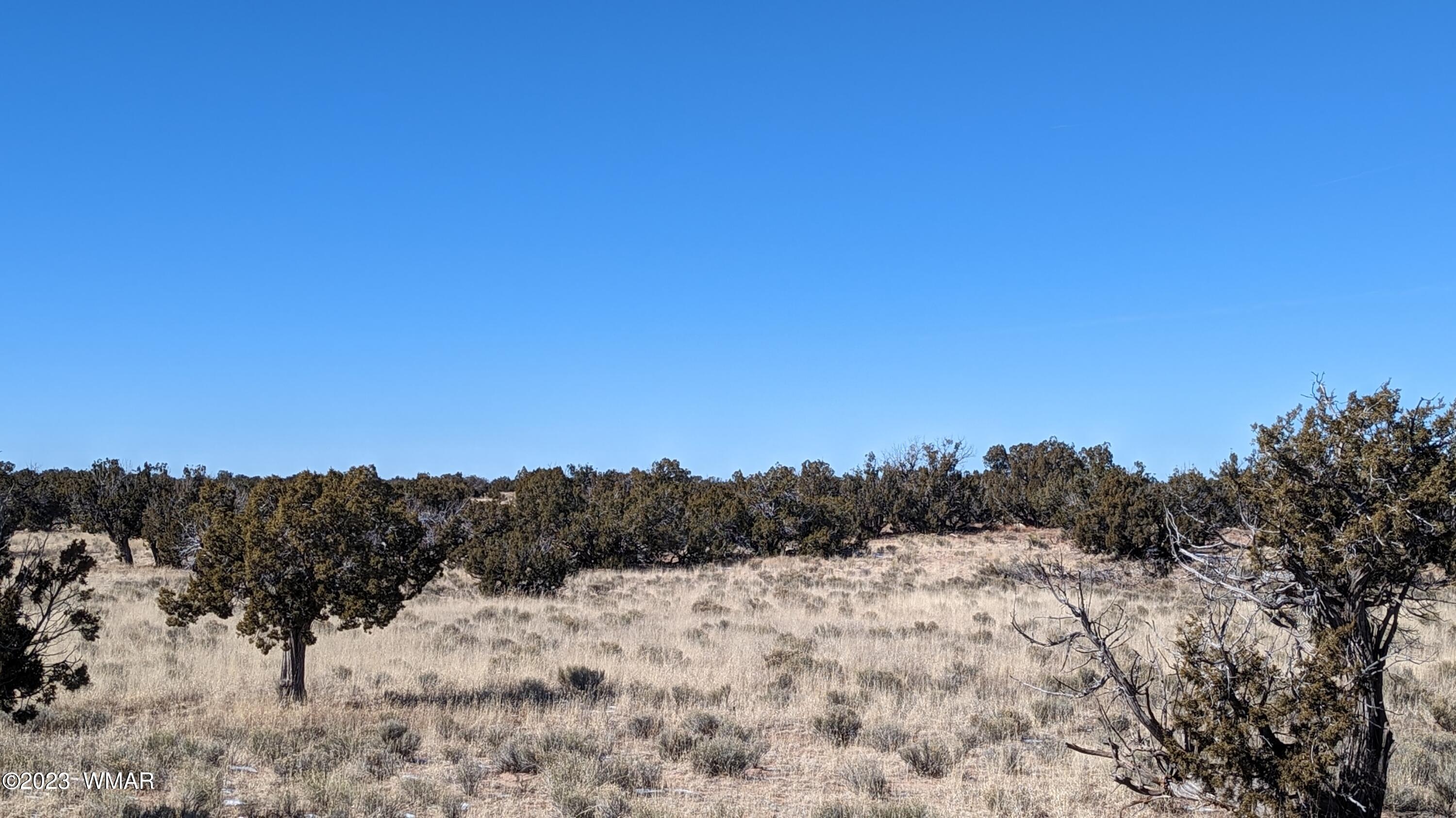 Lot 18 Carrizo Ranch St. Johns, AZ 85936 - Photo 10 of 12