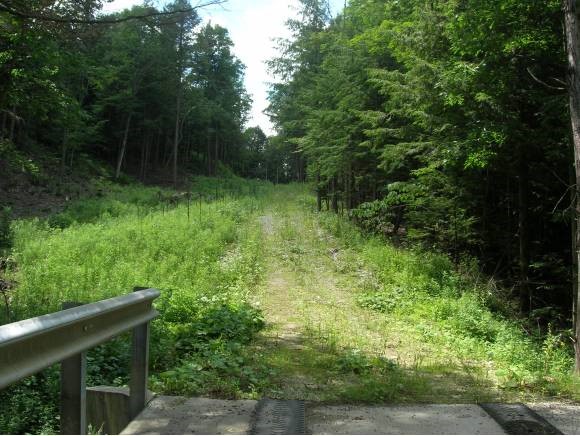 Knox Hill Road Orwell, VT 05760 - Photo 1 of 1