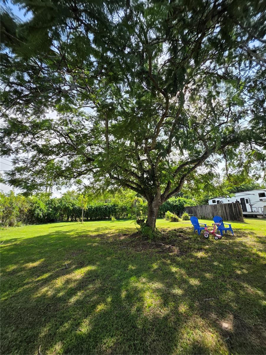 18200 Southwest 262nd Street Homestead, FL 33031 - Photo 4 of 30 a view of green field with lots of trees