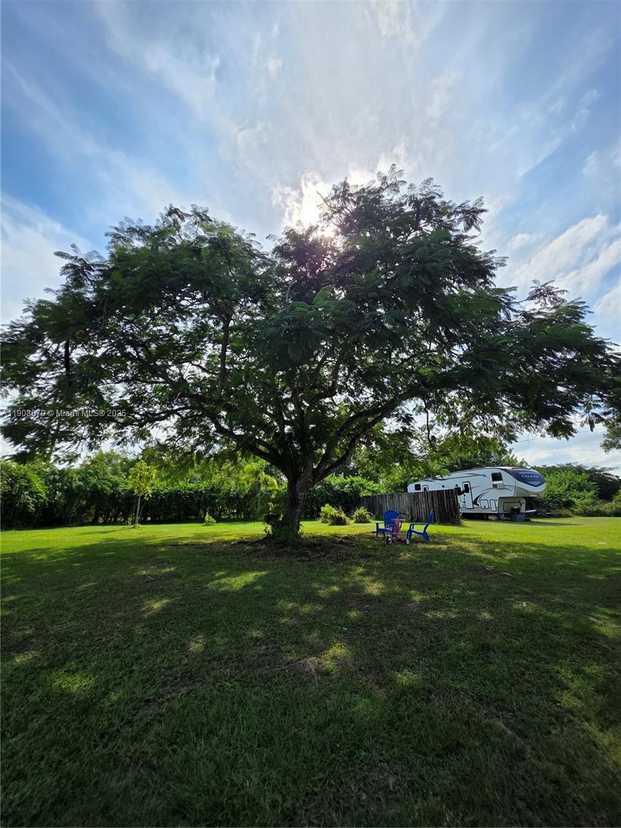 18200 Southwest 262nd Street Homestead, FL 33031 - Photo 6 of 30 a view of green field with trees in the background