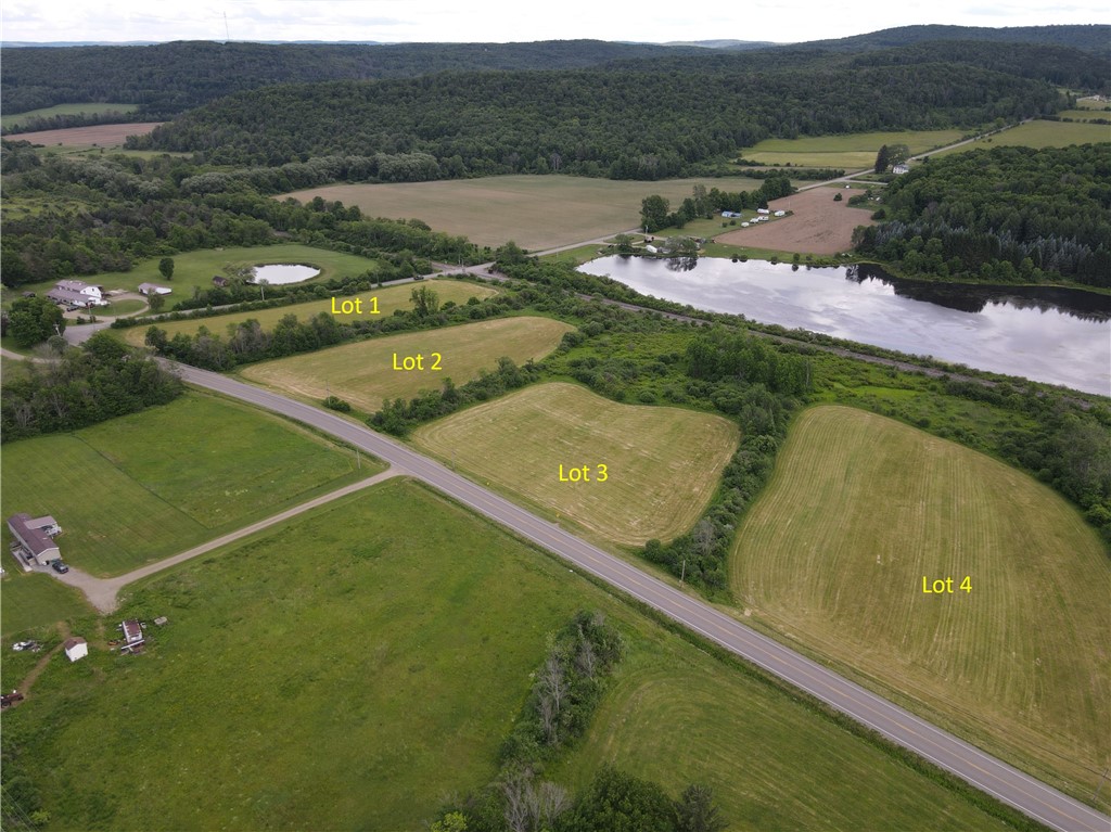 Lot 3 Summit Road Cuba, NY 14727 - Photo 8 of 20