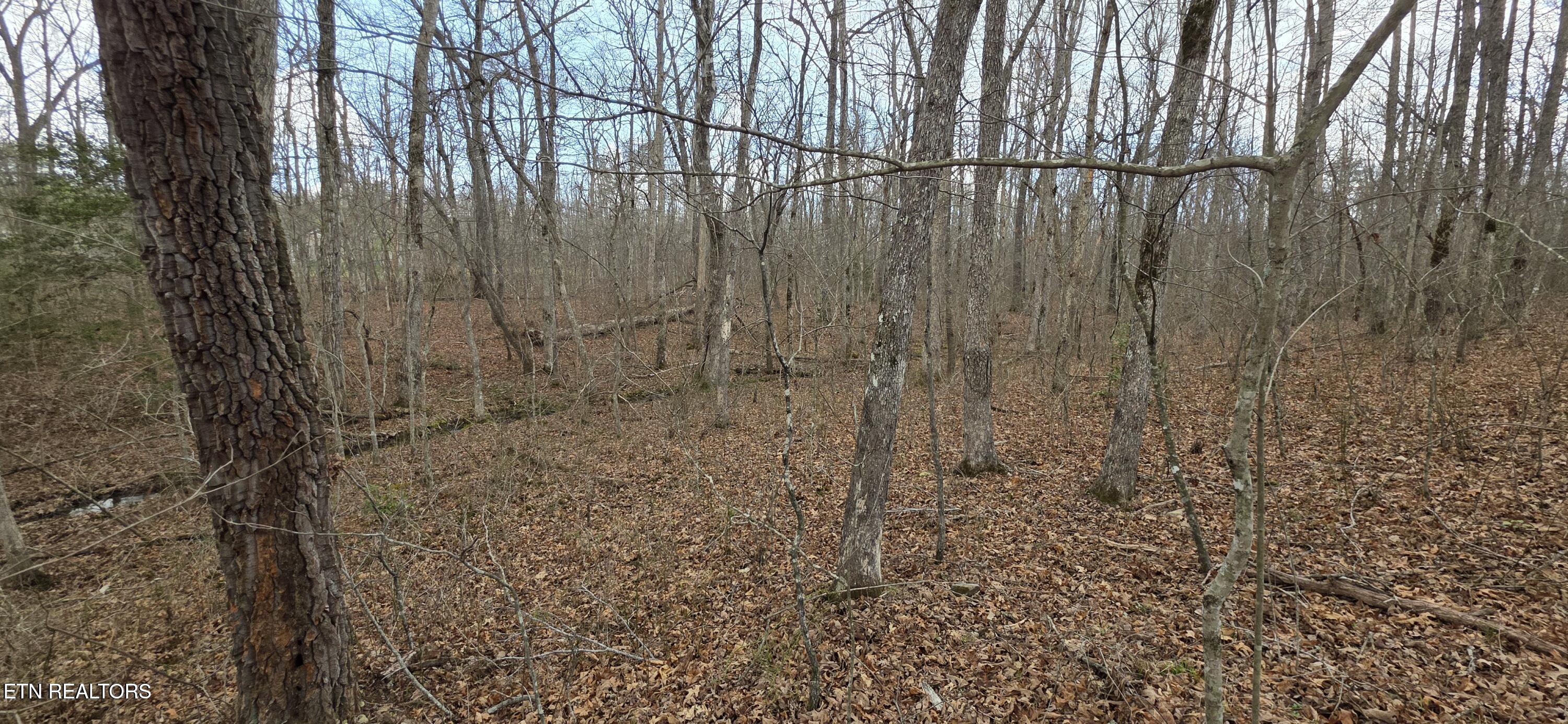 Pond Drive Photo 9